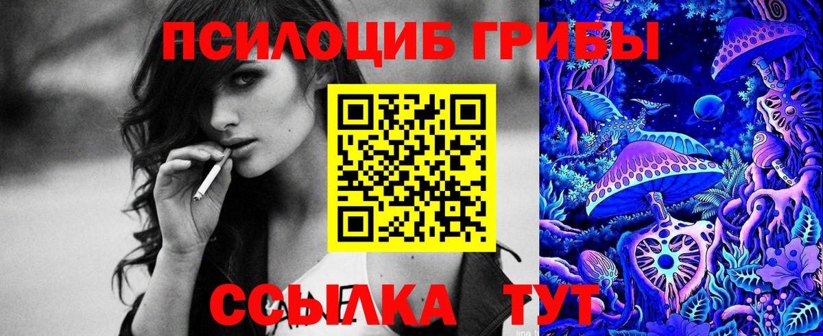 Галлюциногенные грибы Psilocybine cubensis Нальчик