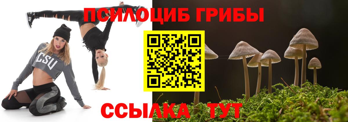 Нальчик  Галлюциногенные грибы мицелий  Вход с VPN  Псилоцибиновые грибы Psilocybe 